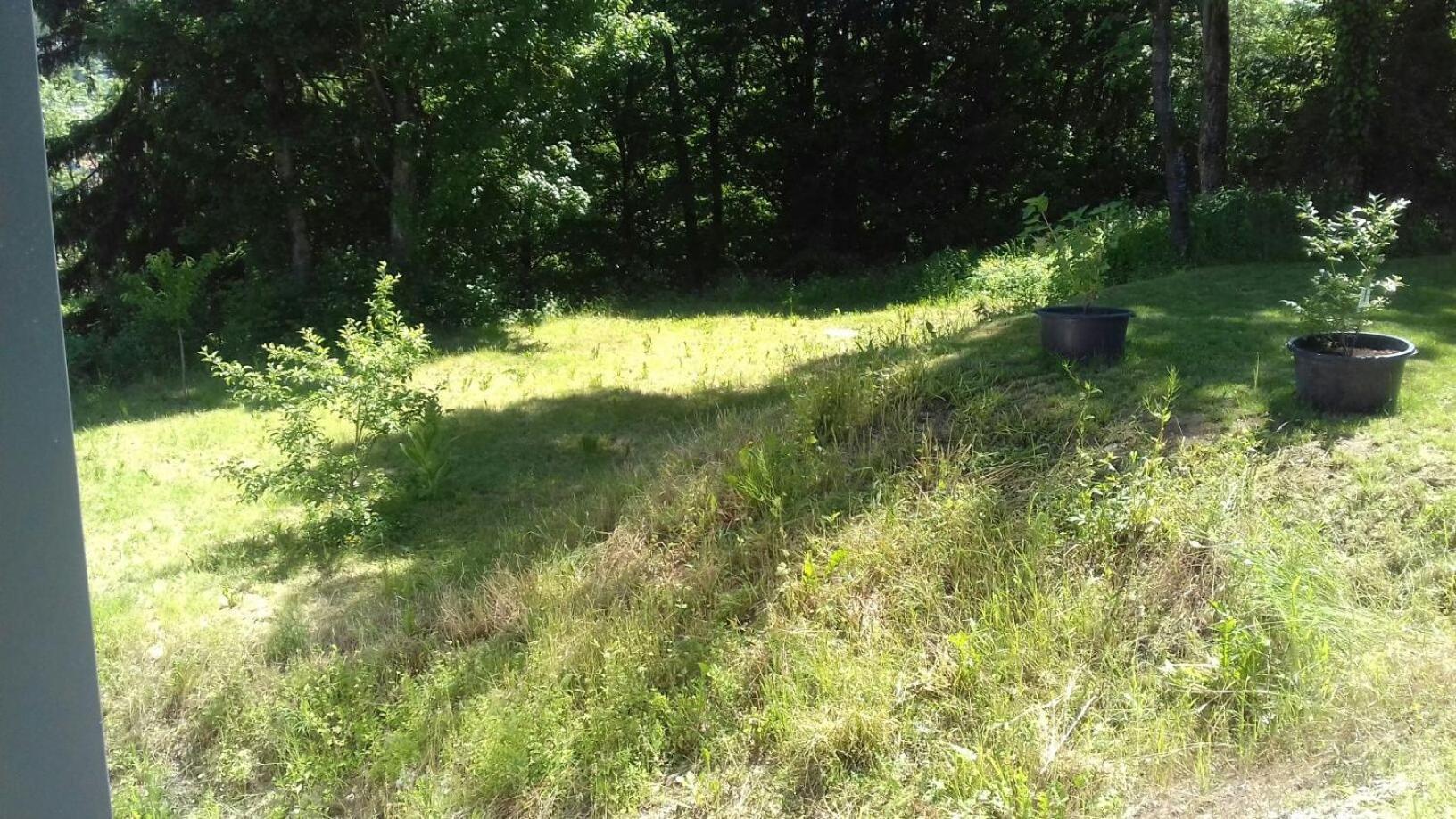 Ferienwohnung Ameis Heiligenstadt in Oberfranken Exterior foto
